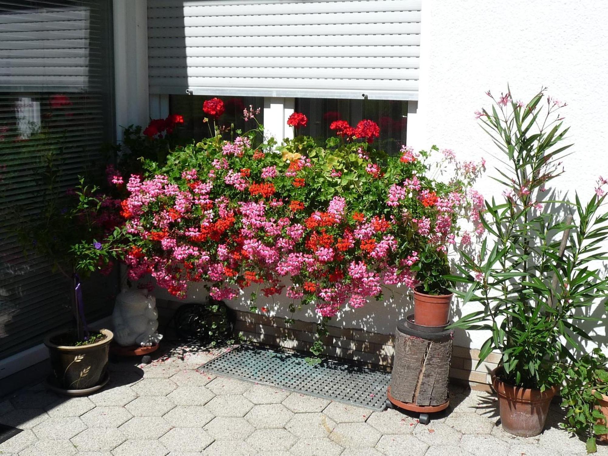Graceful Apartment In Velmede With Garden Bestwig Bagian luar foto