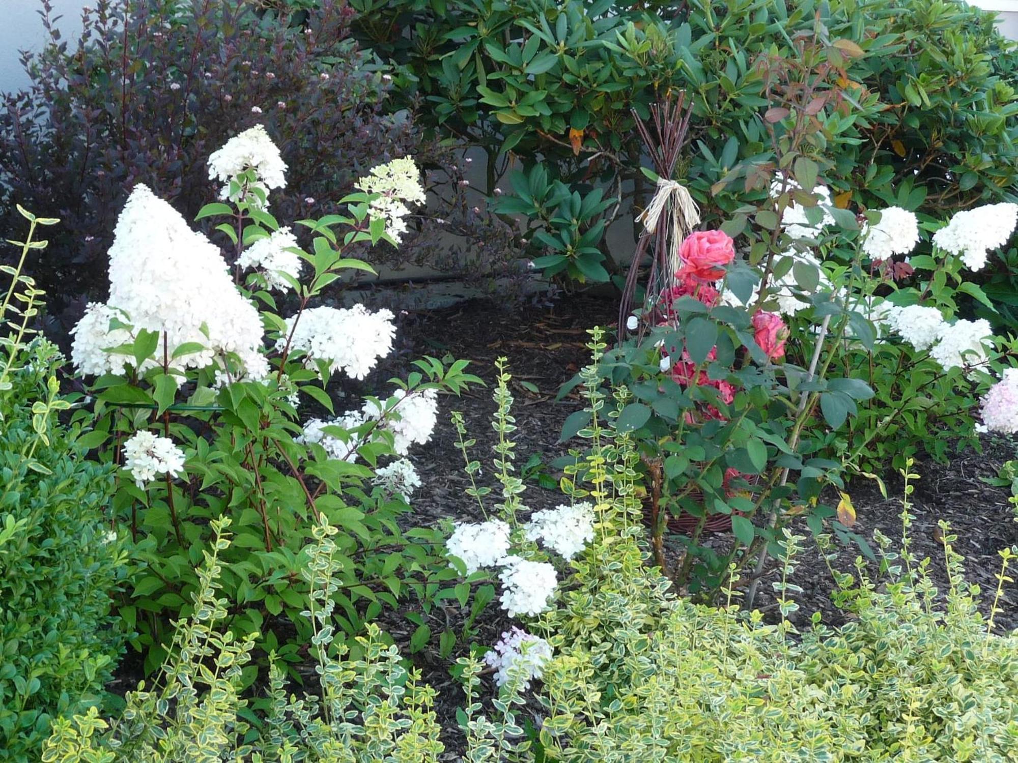 Graceful Apartment In Velmede With Garden Bestwig Bagian luar foto